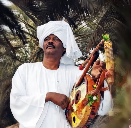 Mekki Ali Idris